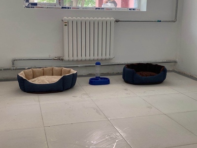 西宁宠物用品 西宁宠物用品