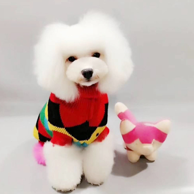西宁宠物美容 西宁宠物美容